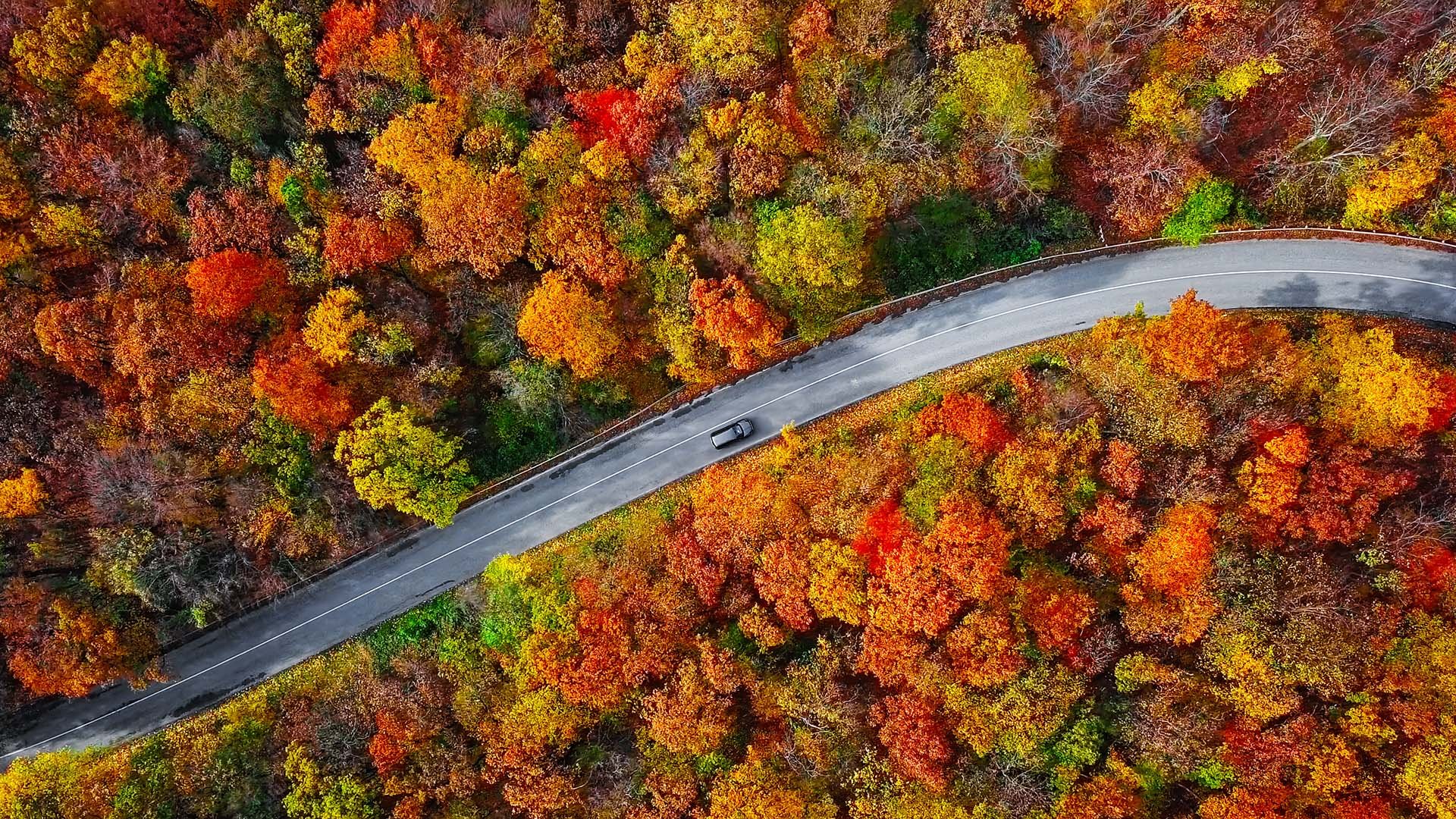 Aerial landscape with road and autumn foliage